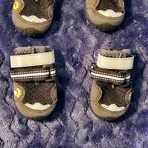 SOLD Dog Mesh Shoes (S)
